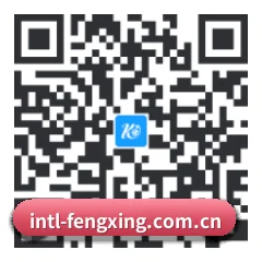 系统版 iOS 二维码